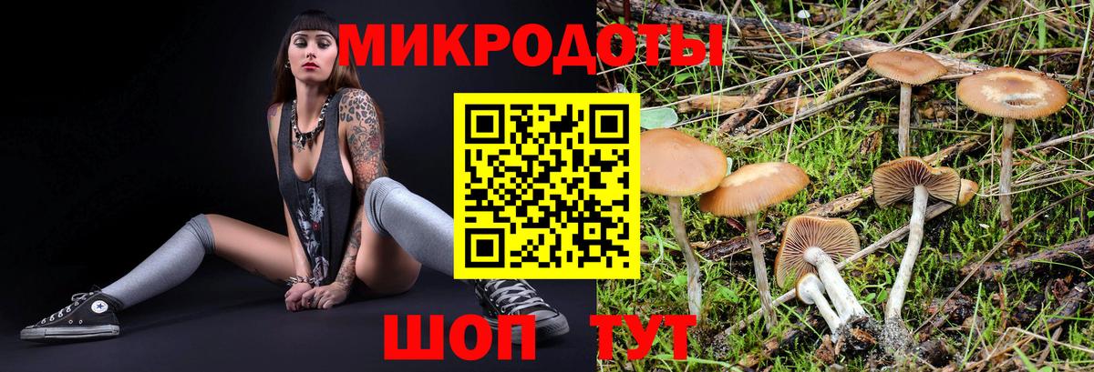 Галлюциногенные грибы мицелий  Вход с VPN  Керчь 